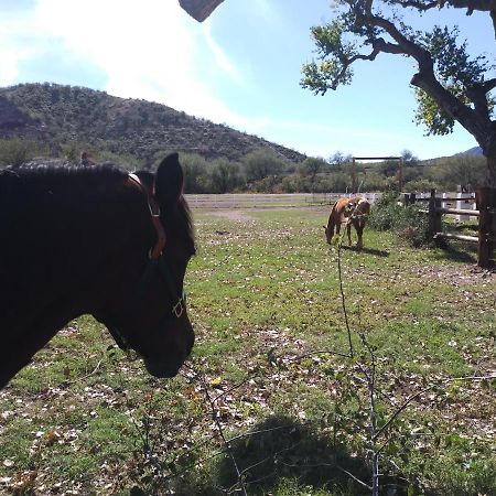 Rancho Santa Cruz Bed & Breakfast Tubac Bagian luar foto